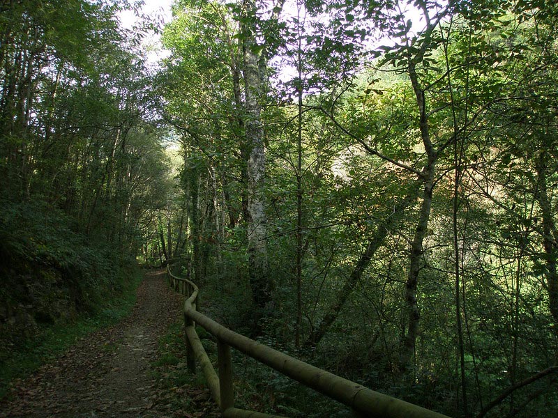 Ruta Del Agua De Taramundi Senditur Sendas Rutas Y Turismo ruta-del-agua-de-taramundi-senditur-sendas-rutas-y-turismo